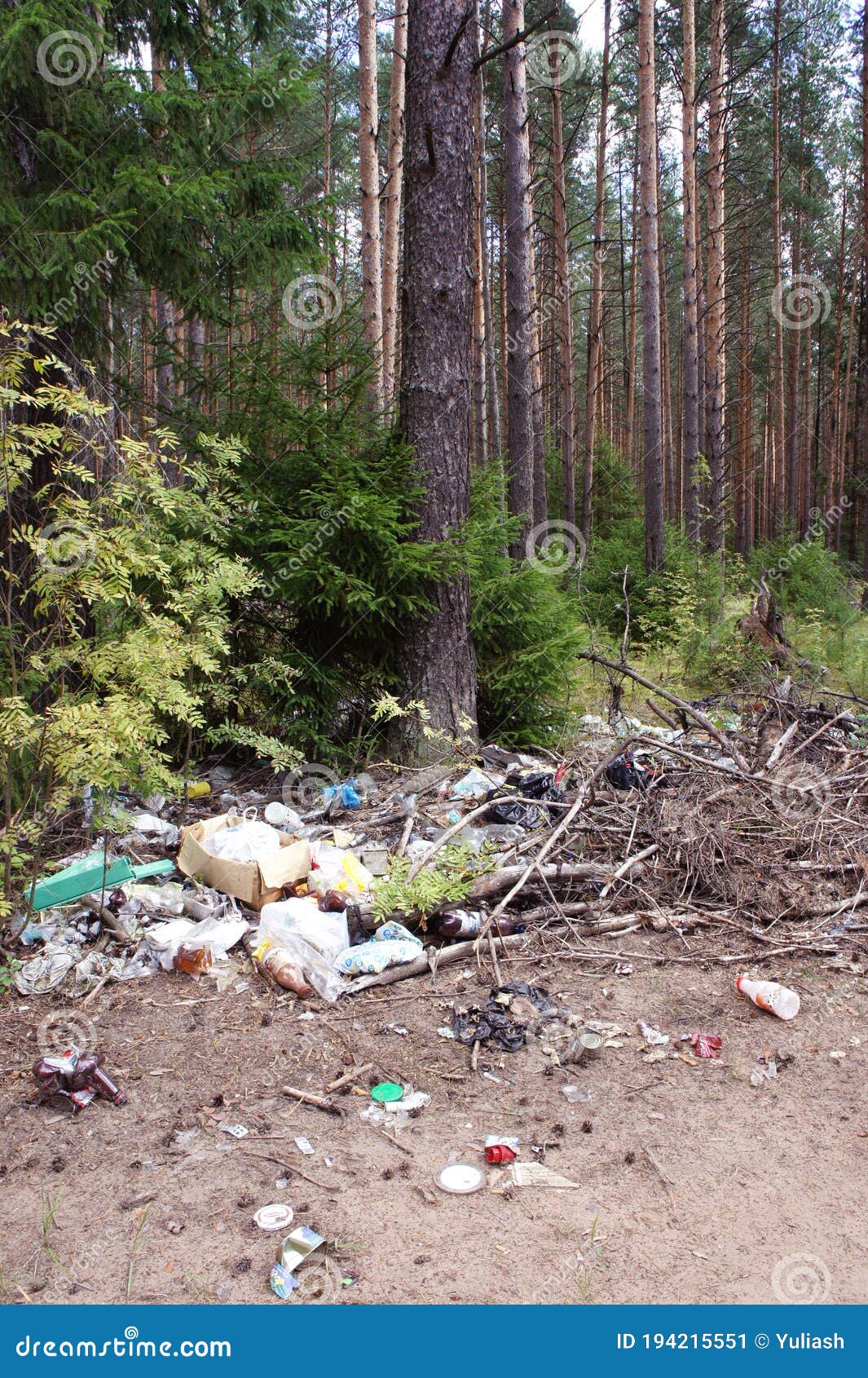 Garbage Dump In The Forest. Pile Of Garbage Under Trees. Illegal