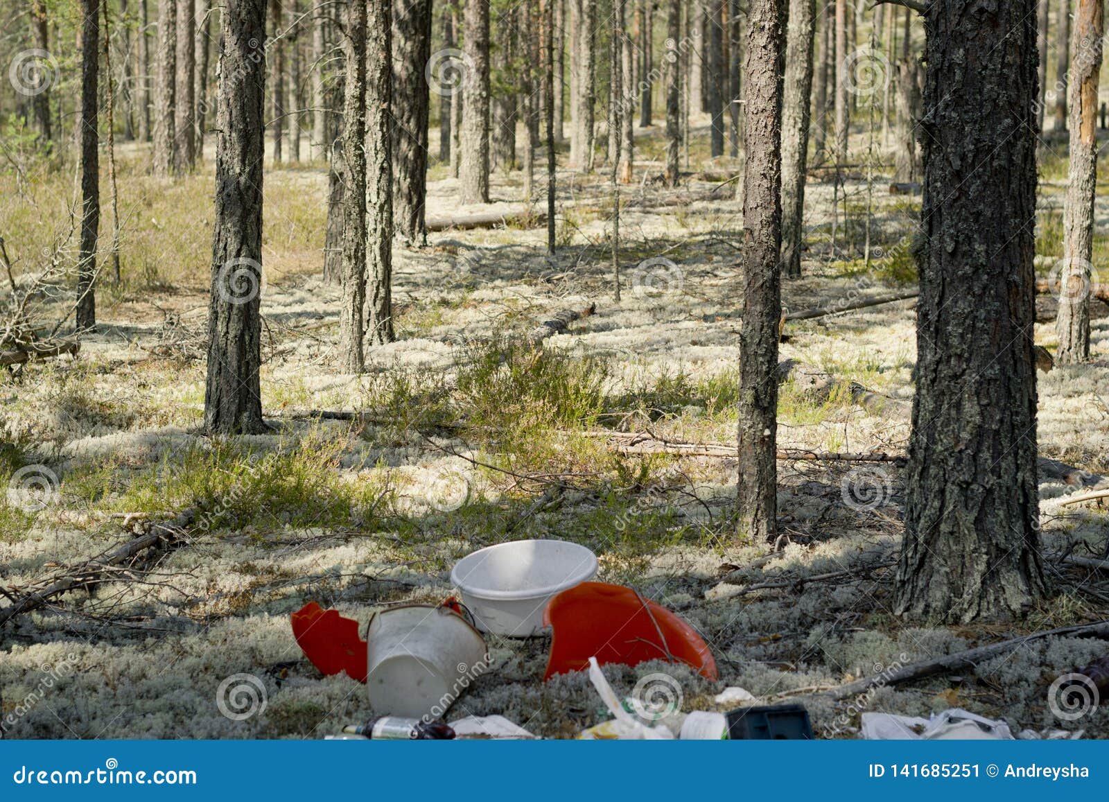 Garbage Dump in a Pine Forest. Environmental Pollution Stock Image