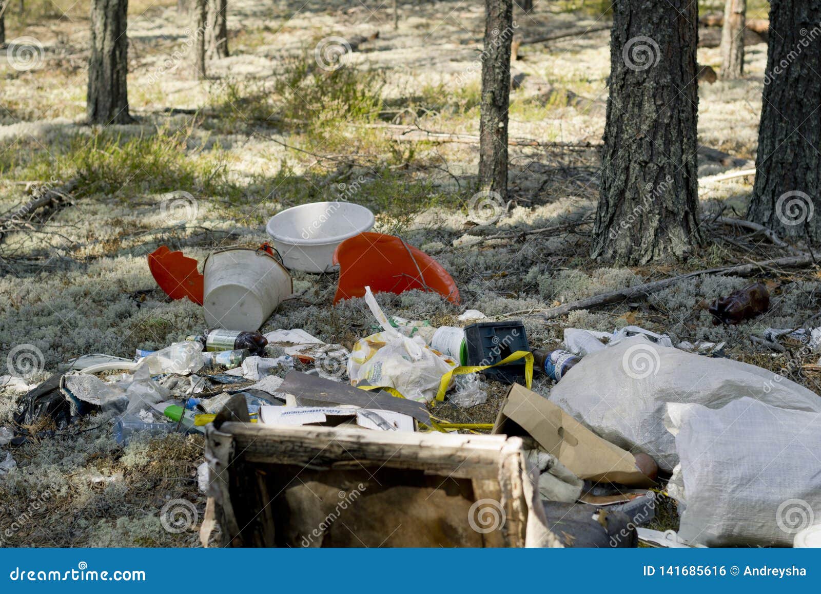 Garbage Dump in a Pine Forest. Environmental Pollution Editorial Photo