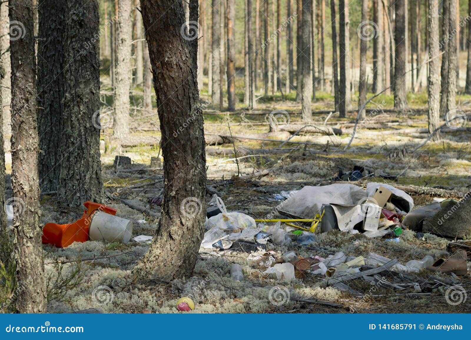 Garbage Dump in a Pine Forest. Environmental Pollution Editorial Photo