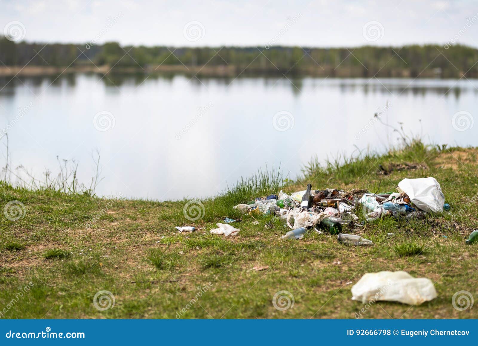 Garbage dump in the woods stock photo. Image of landfill 92666798