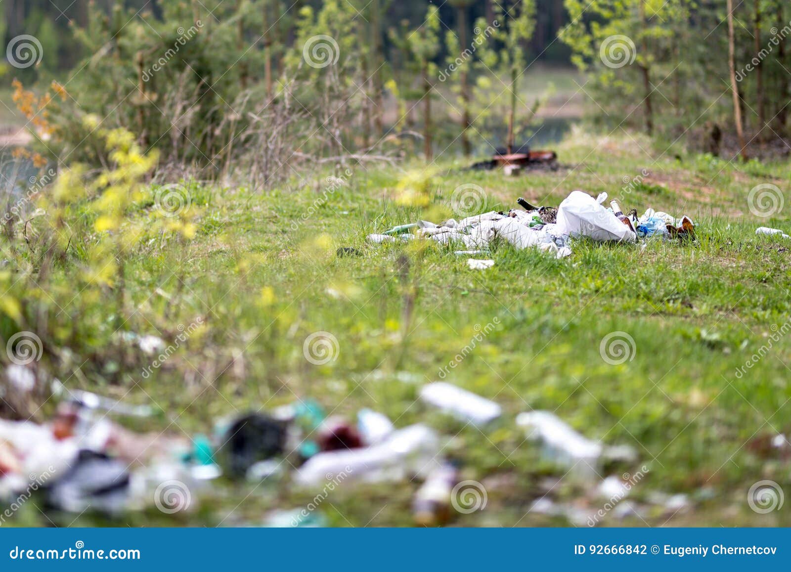 Garbage dump in the woods stock photo. Image of environment 92666842