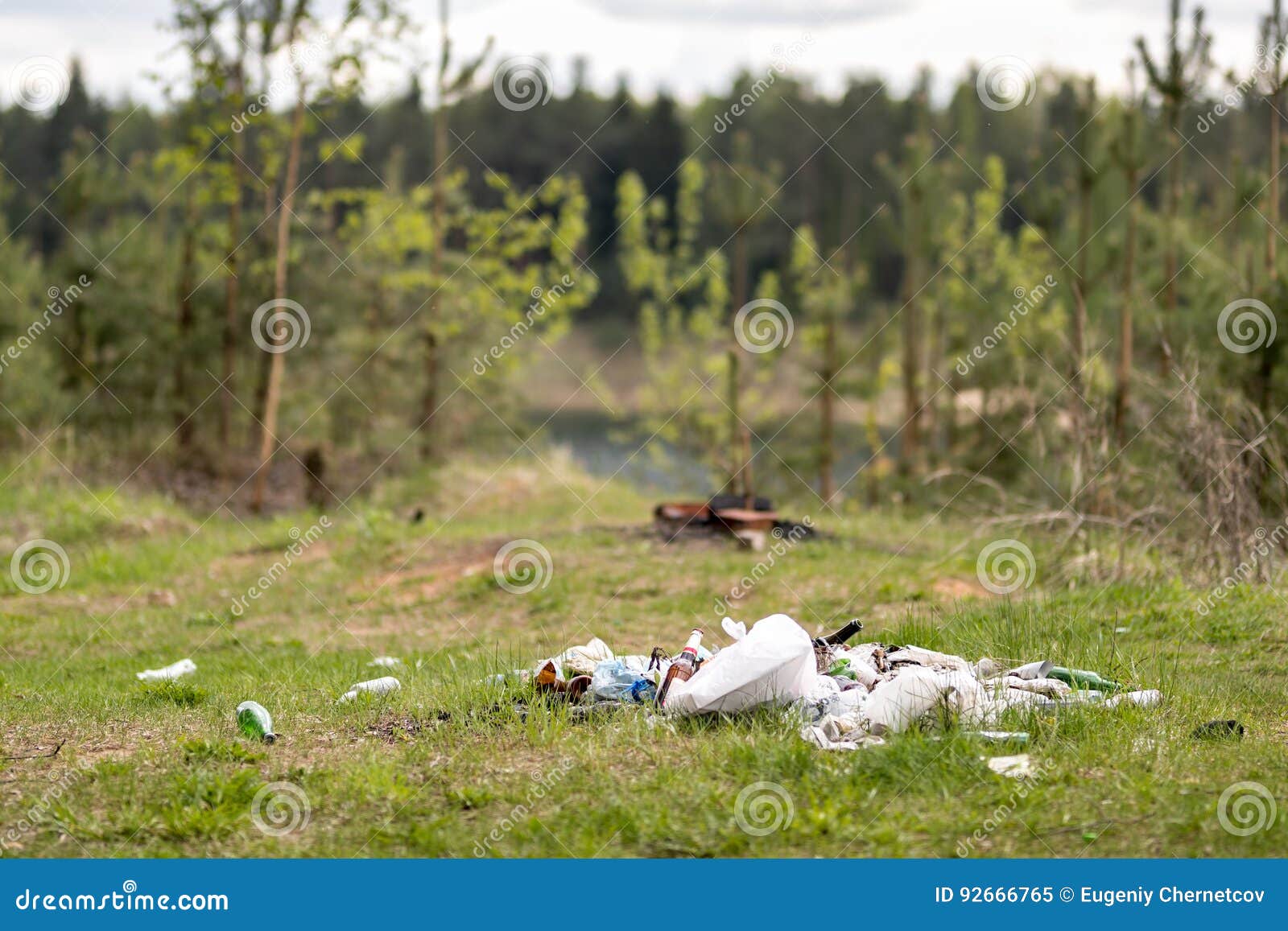 Garbage dump in the woods stock image. Image of dirty 92666765