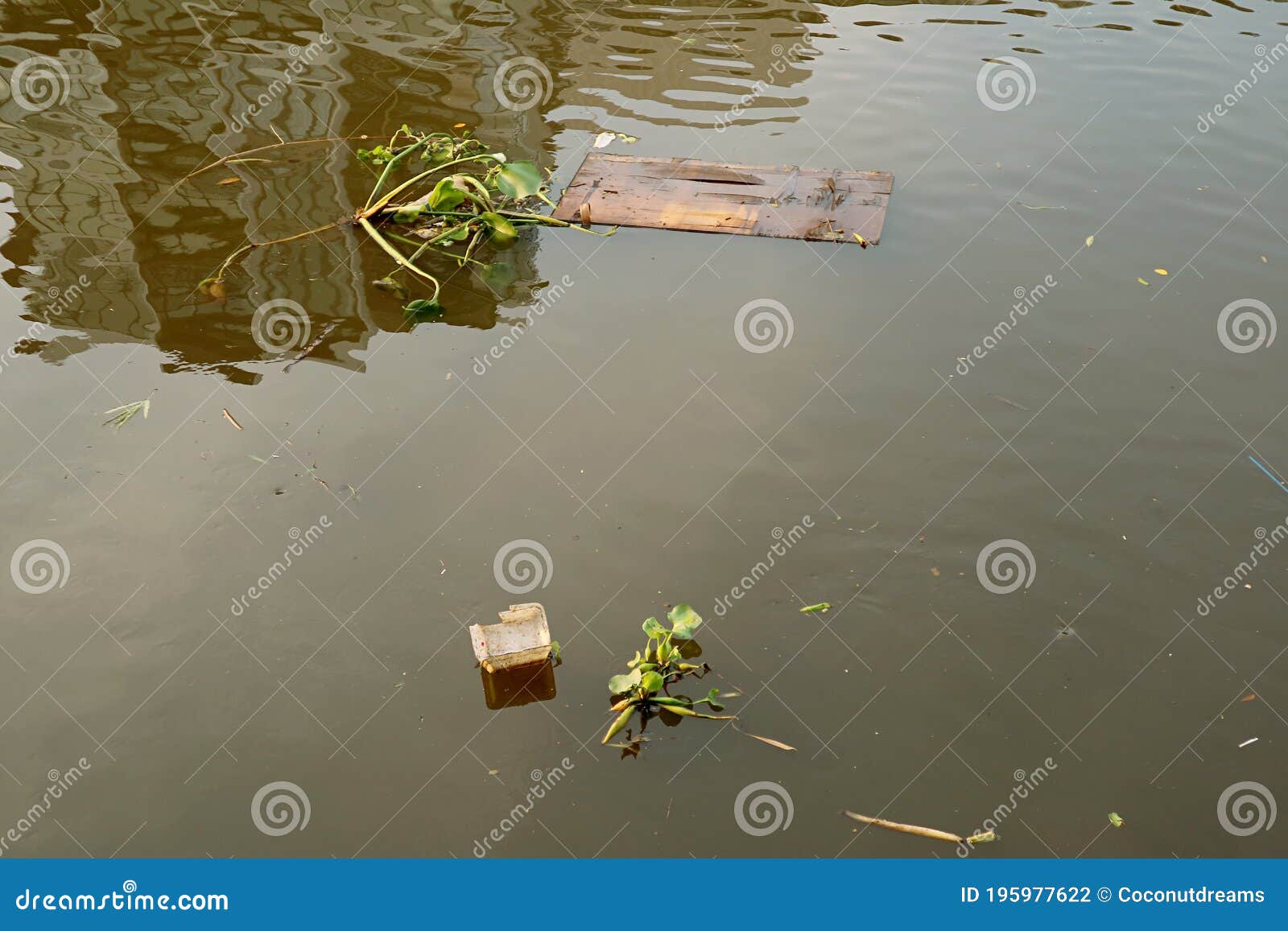 garbage-floating-in-the-water-a-large-amount-of-trash-polluting