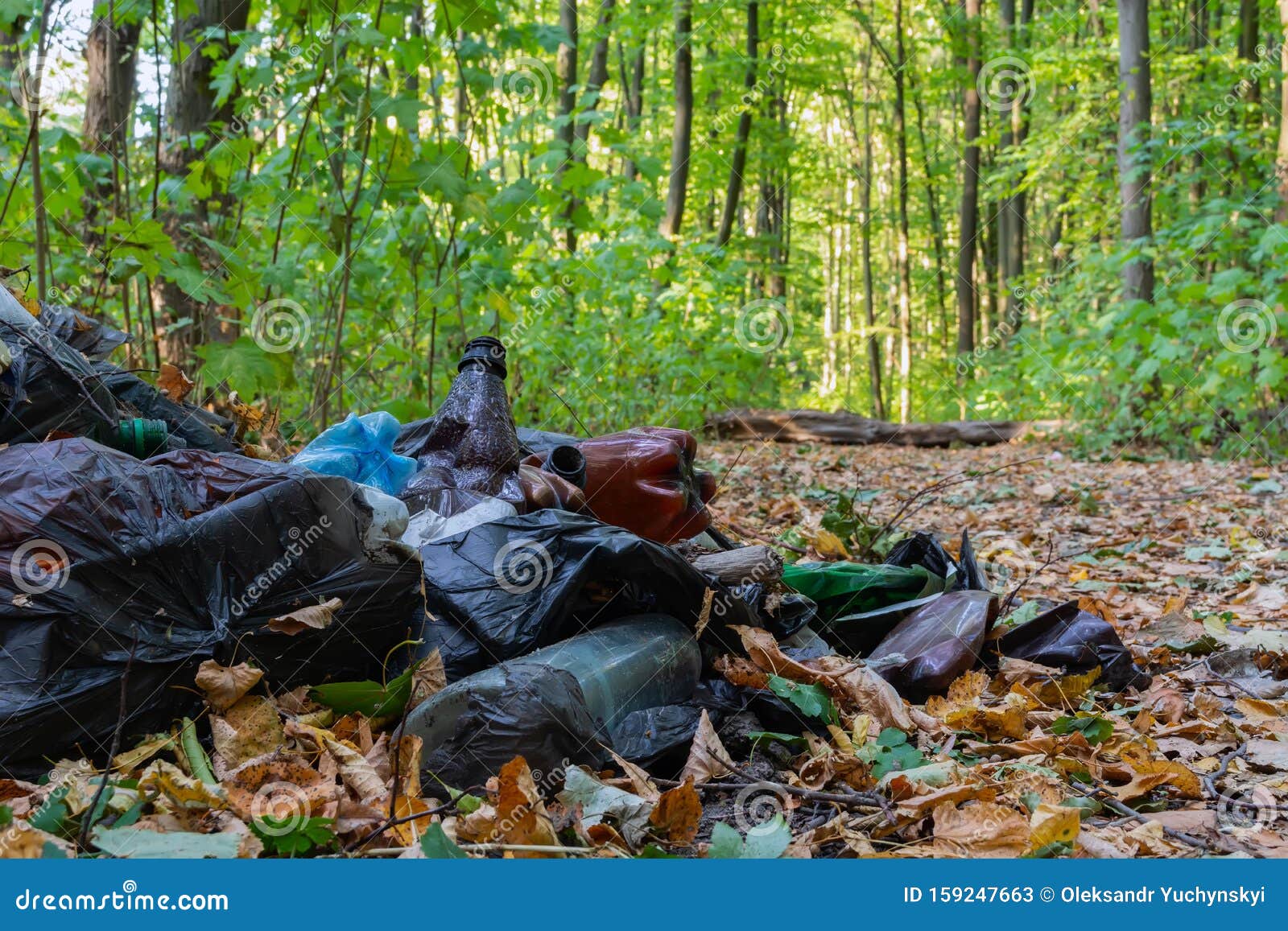Garbage in the Forest, Consisting of Plastic Bottles and Plastic Bags