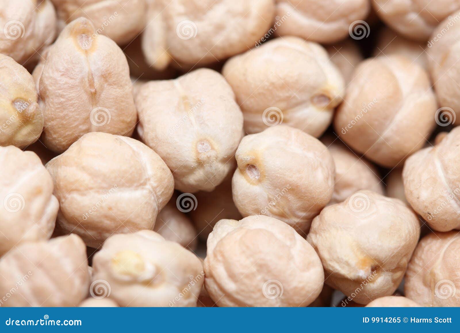 garbanzo beans