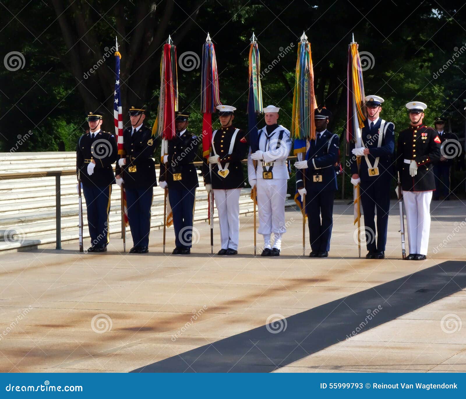 Garde Du Drapeau Militaire Arlington Photo stock éditorial - Image du  honneur, indicateurs: 55999793