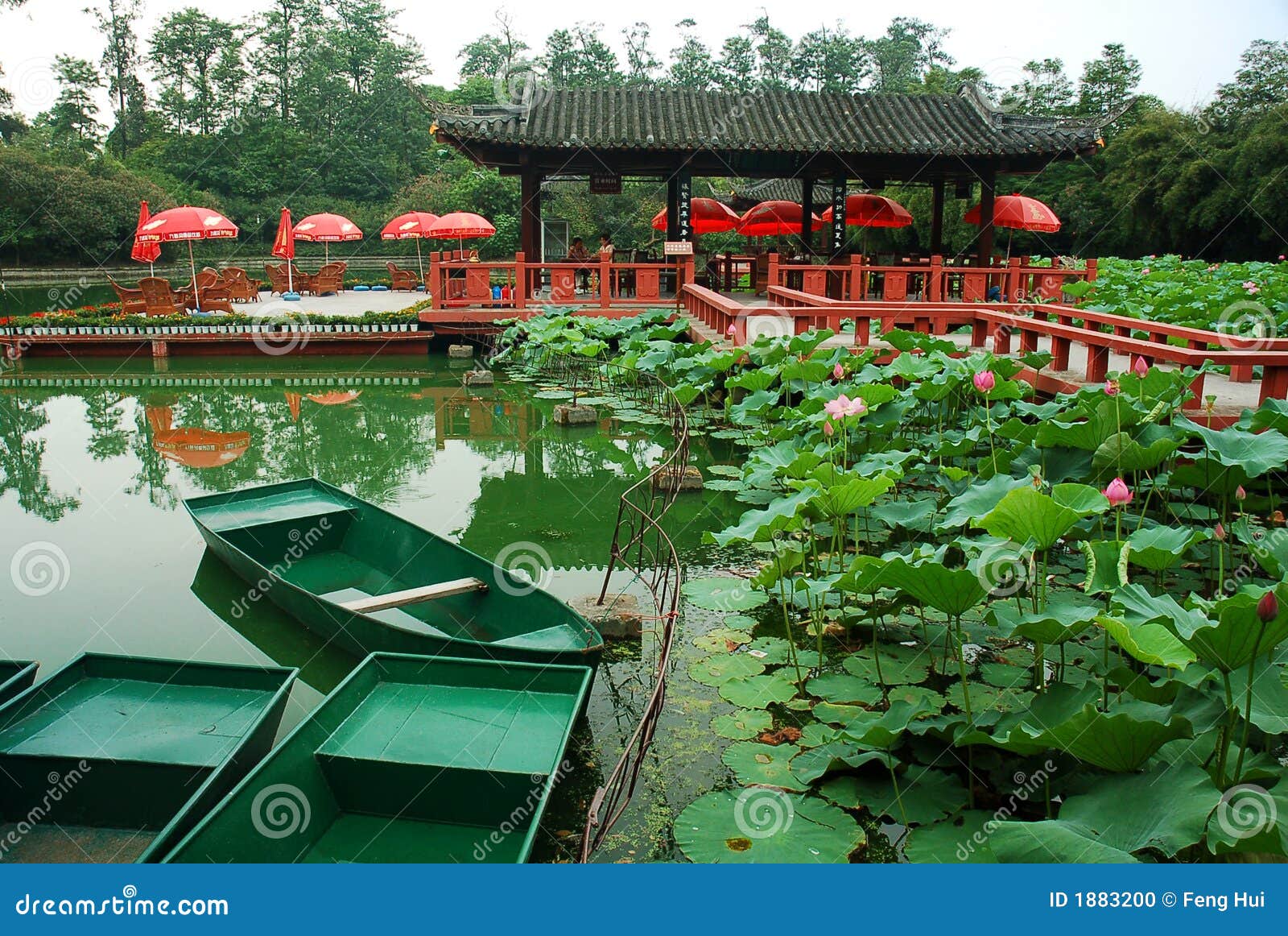 Garden stock photo. Image of boat, sichuan, lily, green