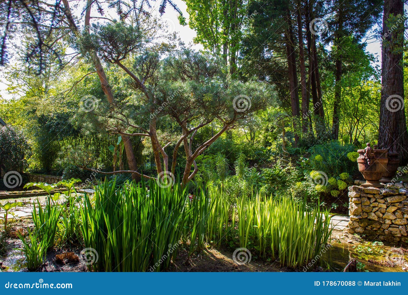 Fantastic in Garden Agapanthe Le Jardin Agapanthe in Normandy Stock Photo - of france, pool: 178670088