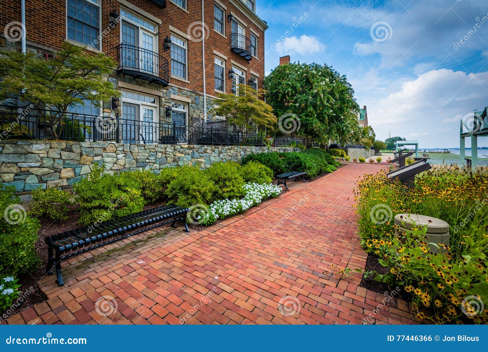 Garden And Apartment Buildings On The Potomac River Waterfront I