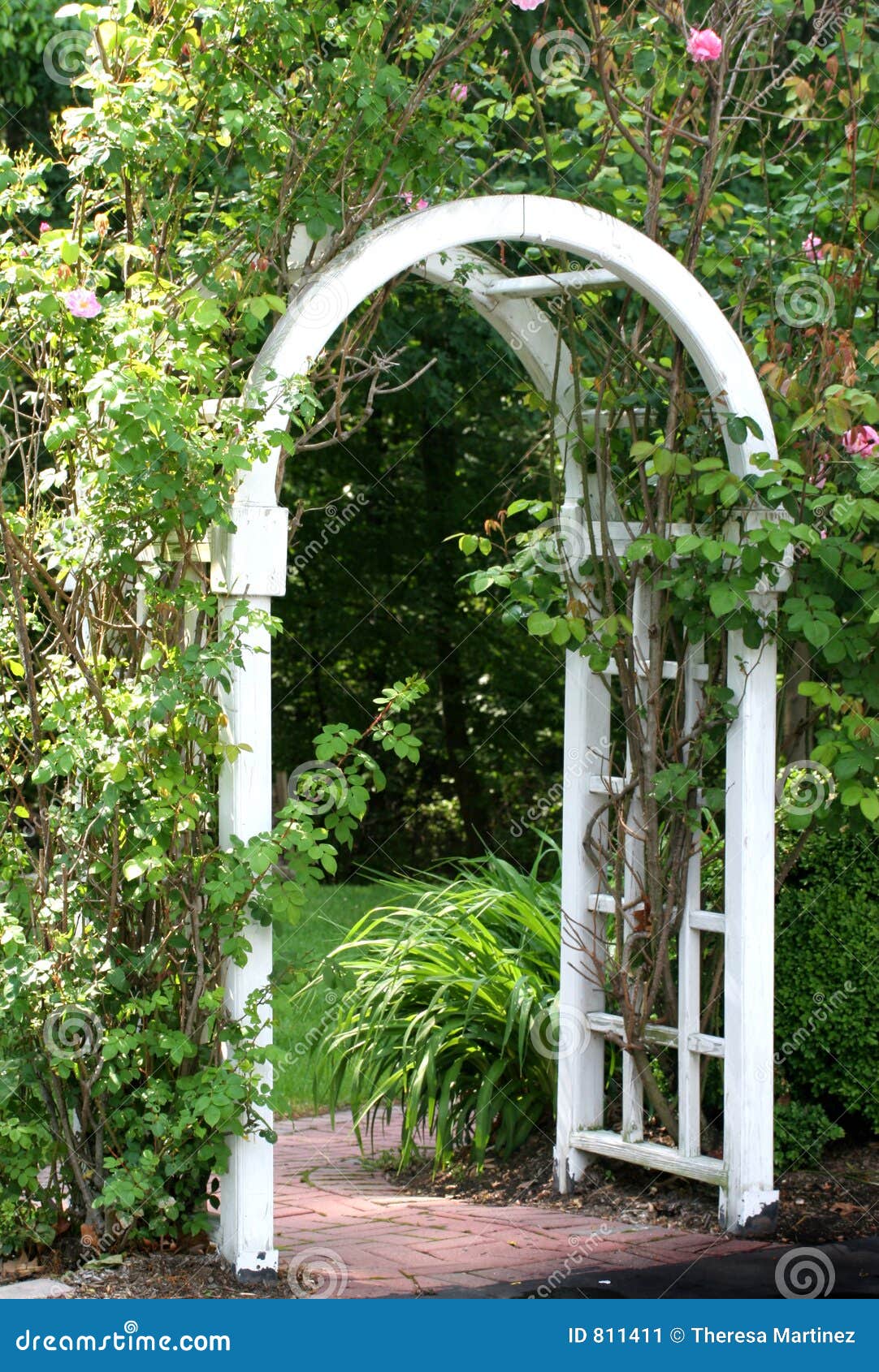 Garden Arbor stock image. Image of trees, arch, entrance ...