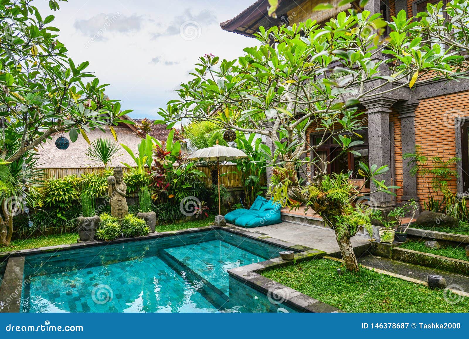 Garden On Back Yard With Swimming Pool Stock Image Image Of Asia Sunny 146378687