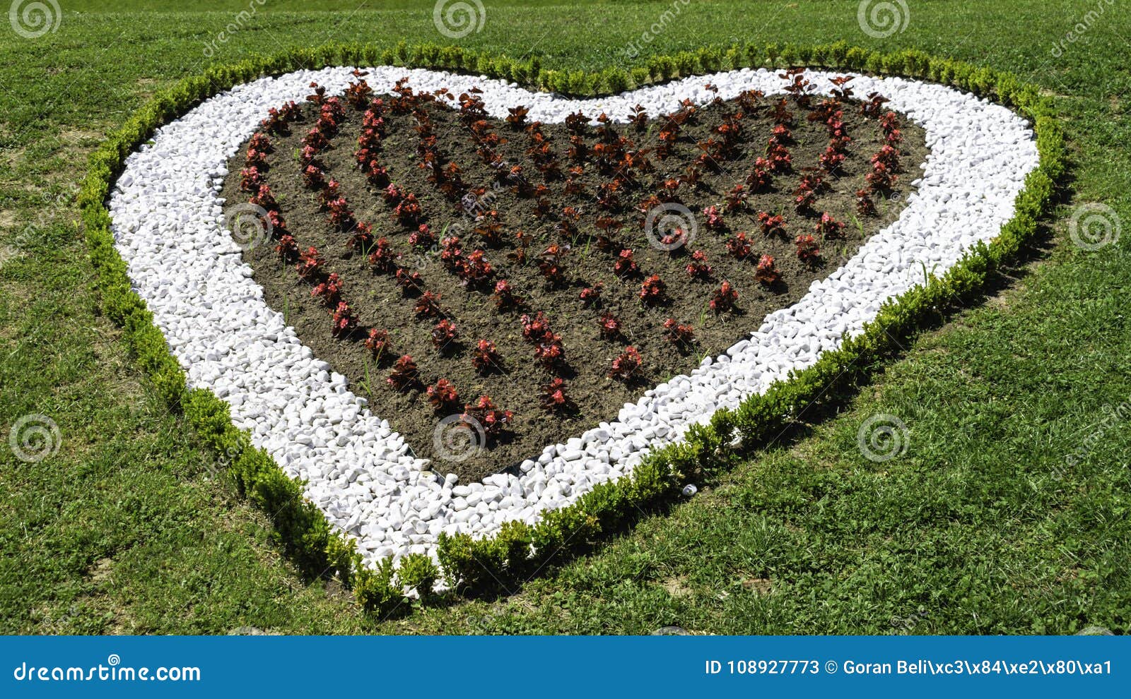 Garden Or Backyard Decoration With White Rocks And Flowers In A