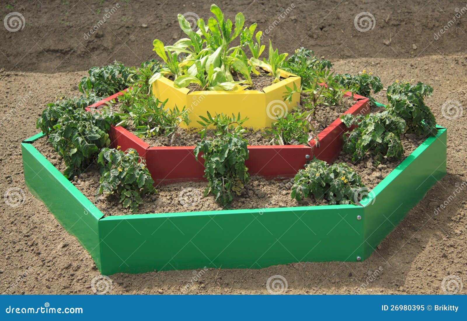 garden bed in the style of landscape design