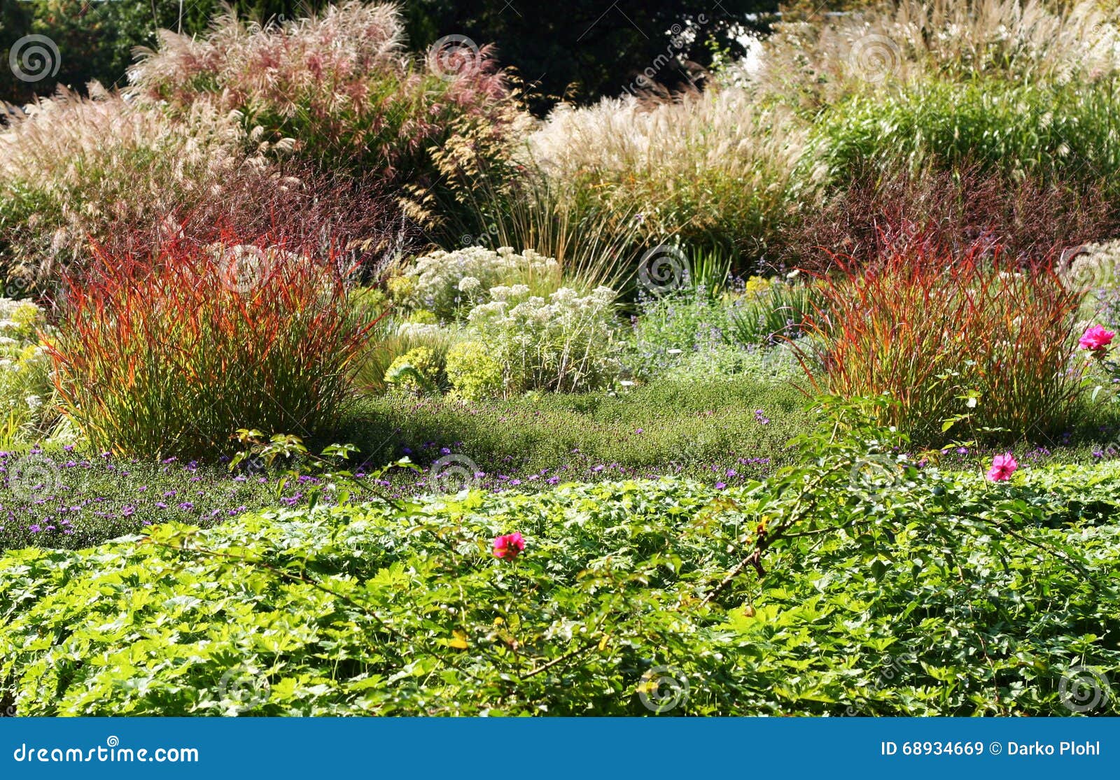 garden beds with perennials and ornamental grasses