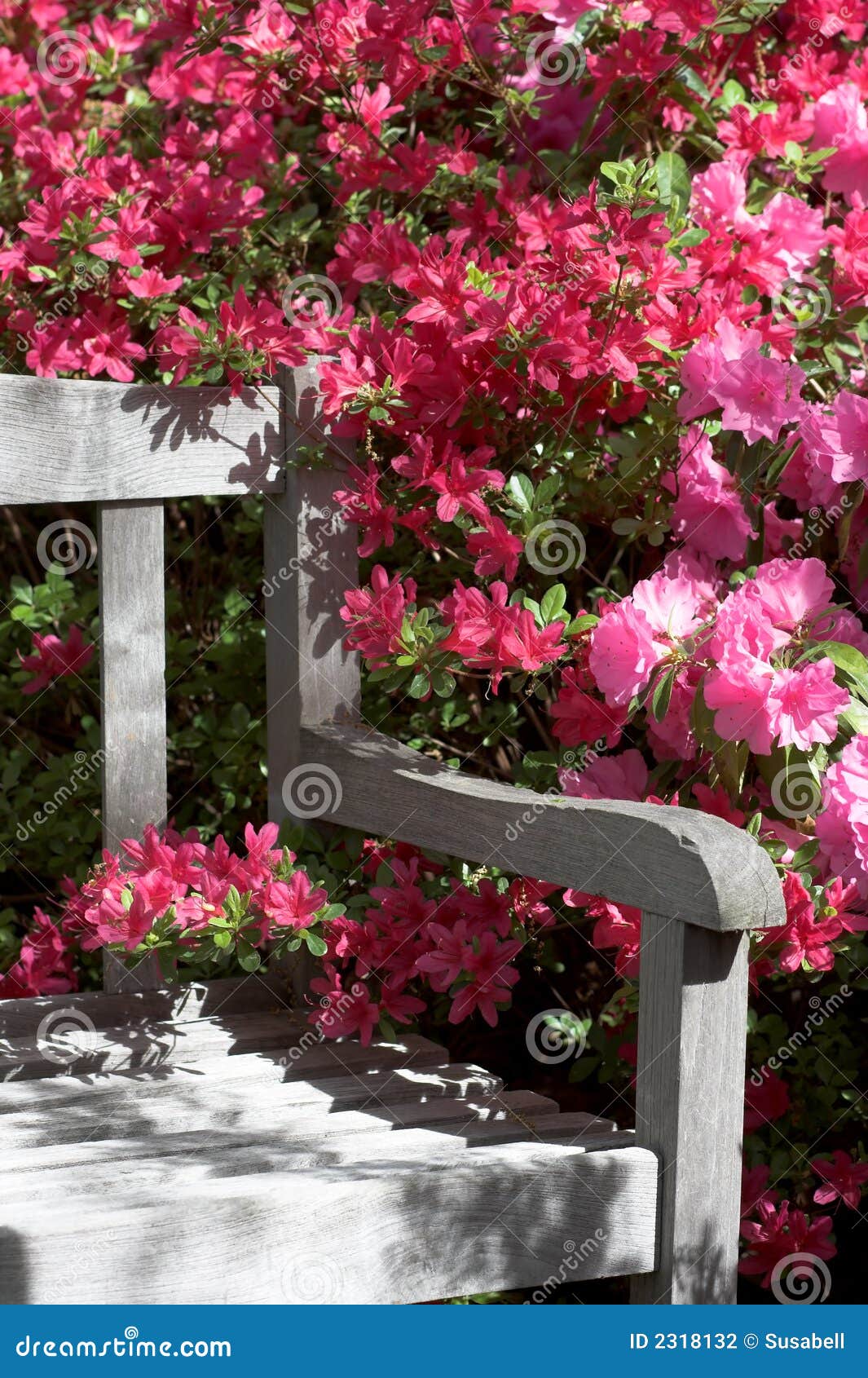 Garden Bench And Flowers Stock Photography - Image: 2318132