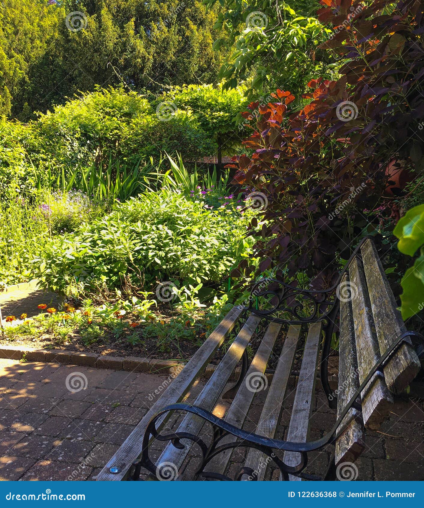 Garden Bench Offers Serenity In A Green Setting Stock Photo