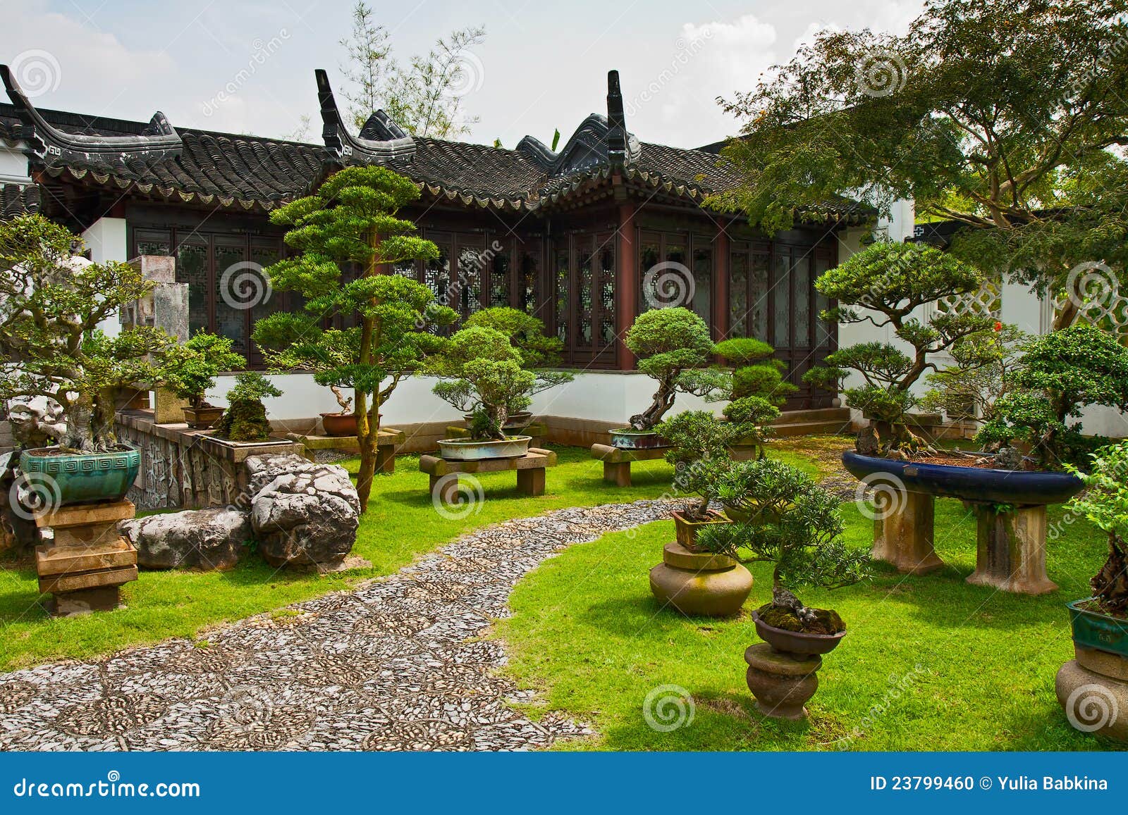 Garden a bonsai, Singapore stock photo. Image of asia 23799460