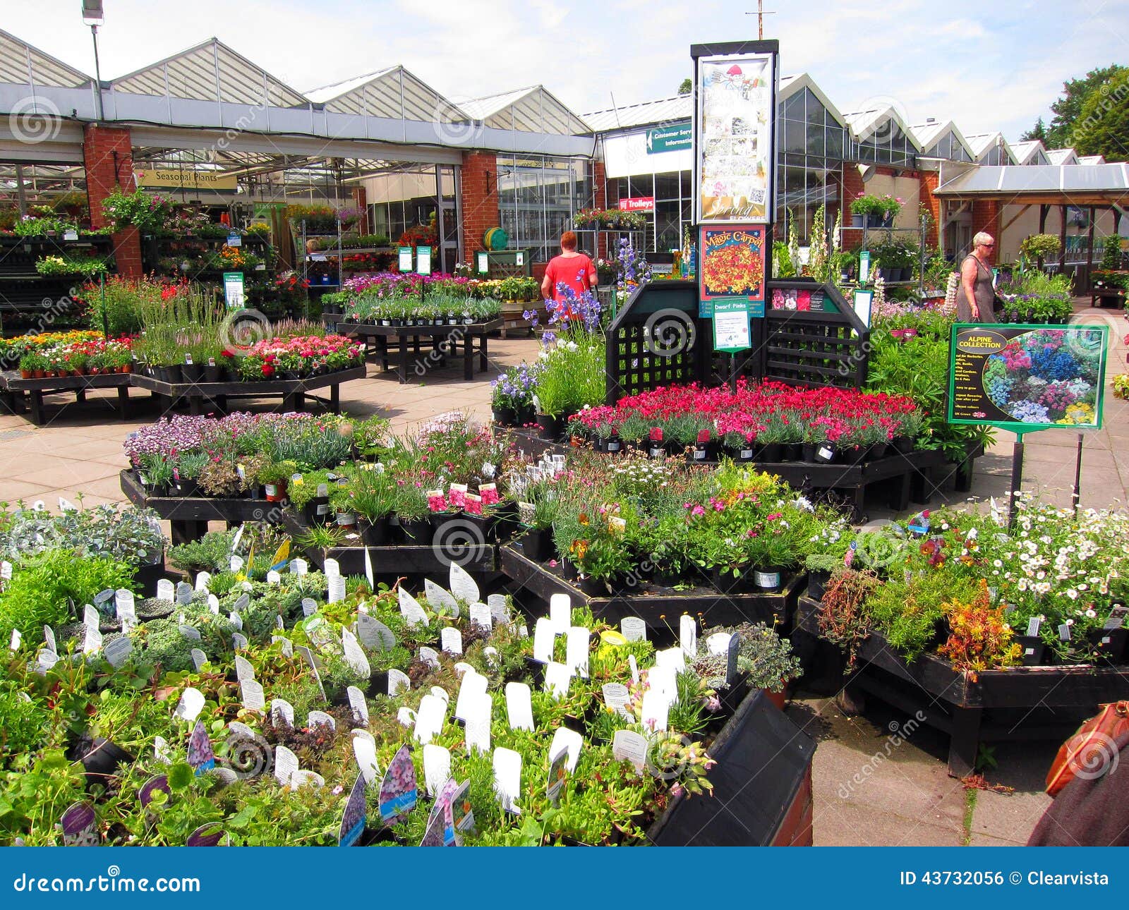 Garden center. editorial photo. Image of people, purchase 43732056