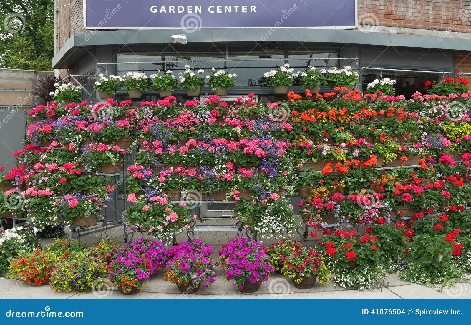 Garden center stock photo. Image of store, baskets, shop 41076504