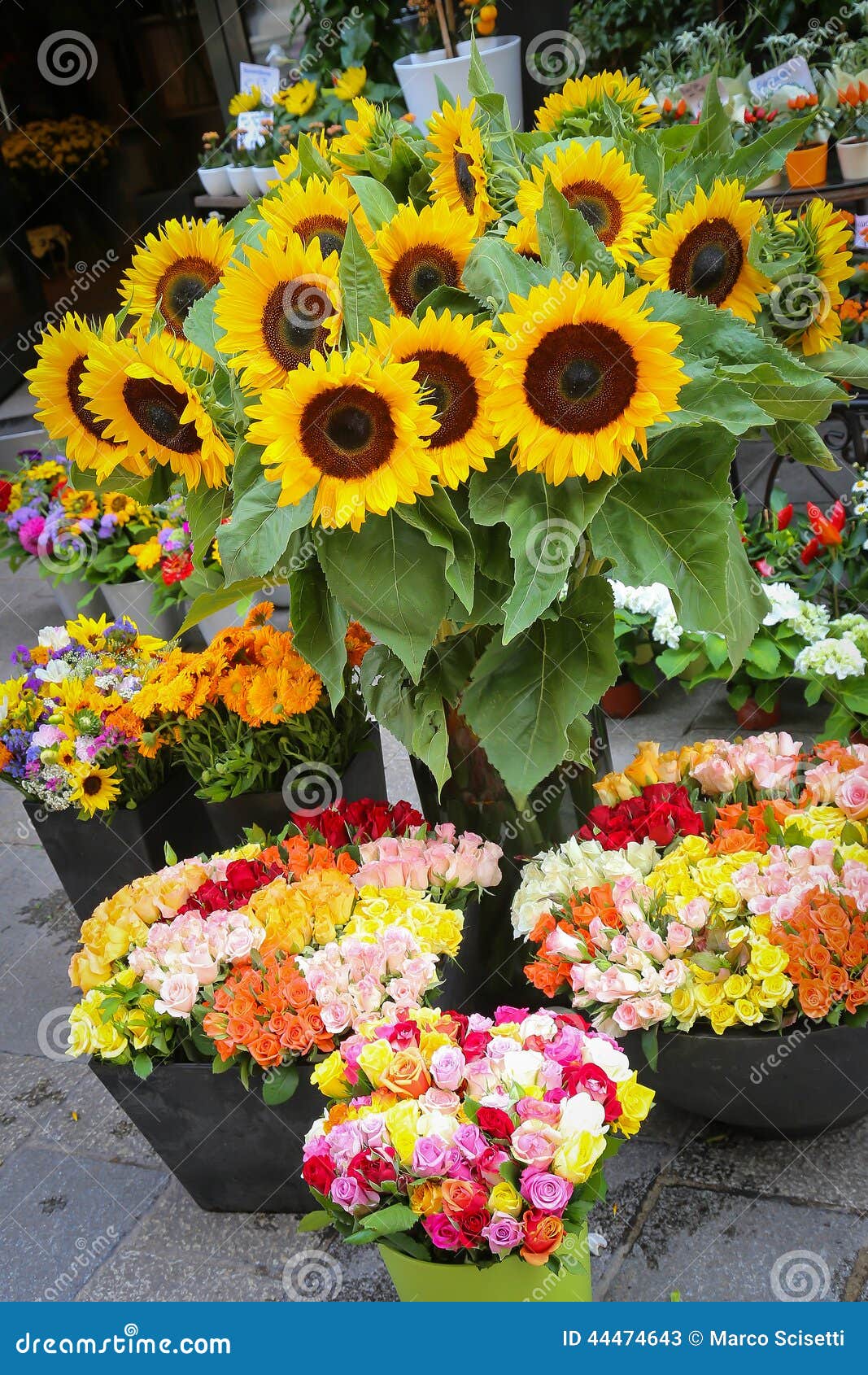 Garden center stock image. Image of botany, arboretum 44474643