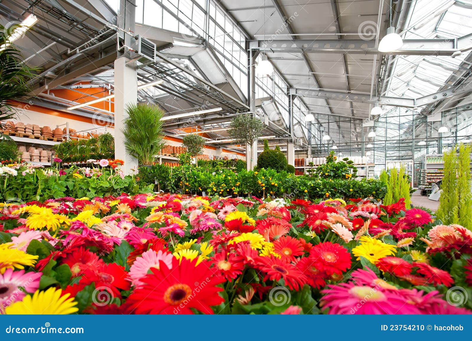 Garden Centre Stock Photo Image Of Glass Greenhouse 23754210