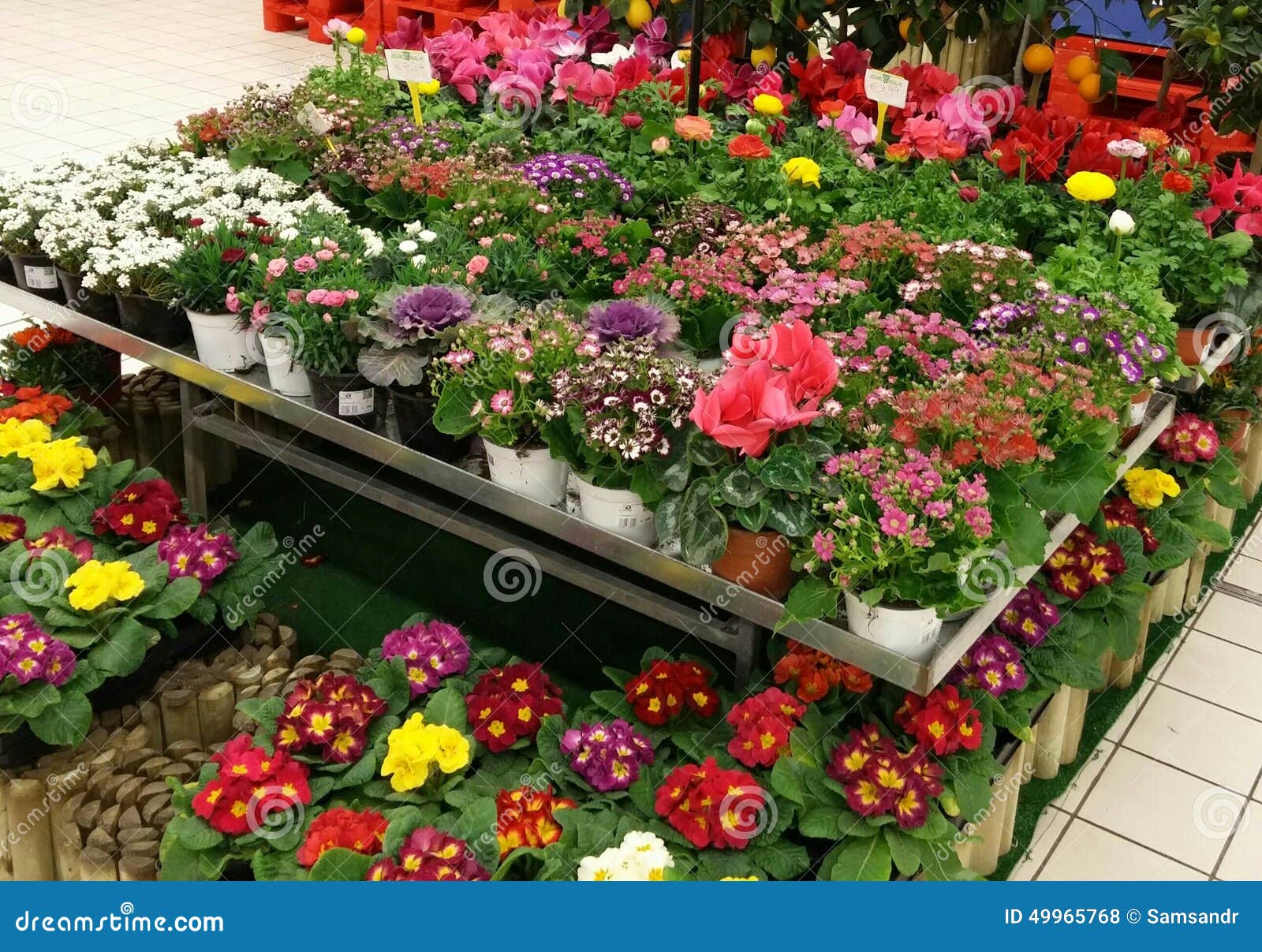 Garden centre stock photo. Image of greenhouse, house 49965768