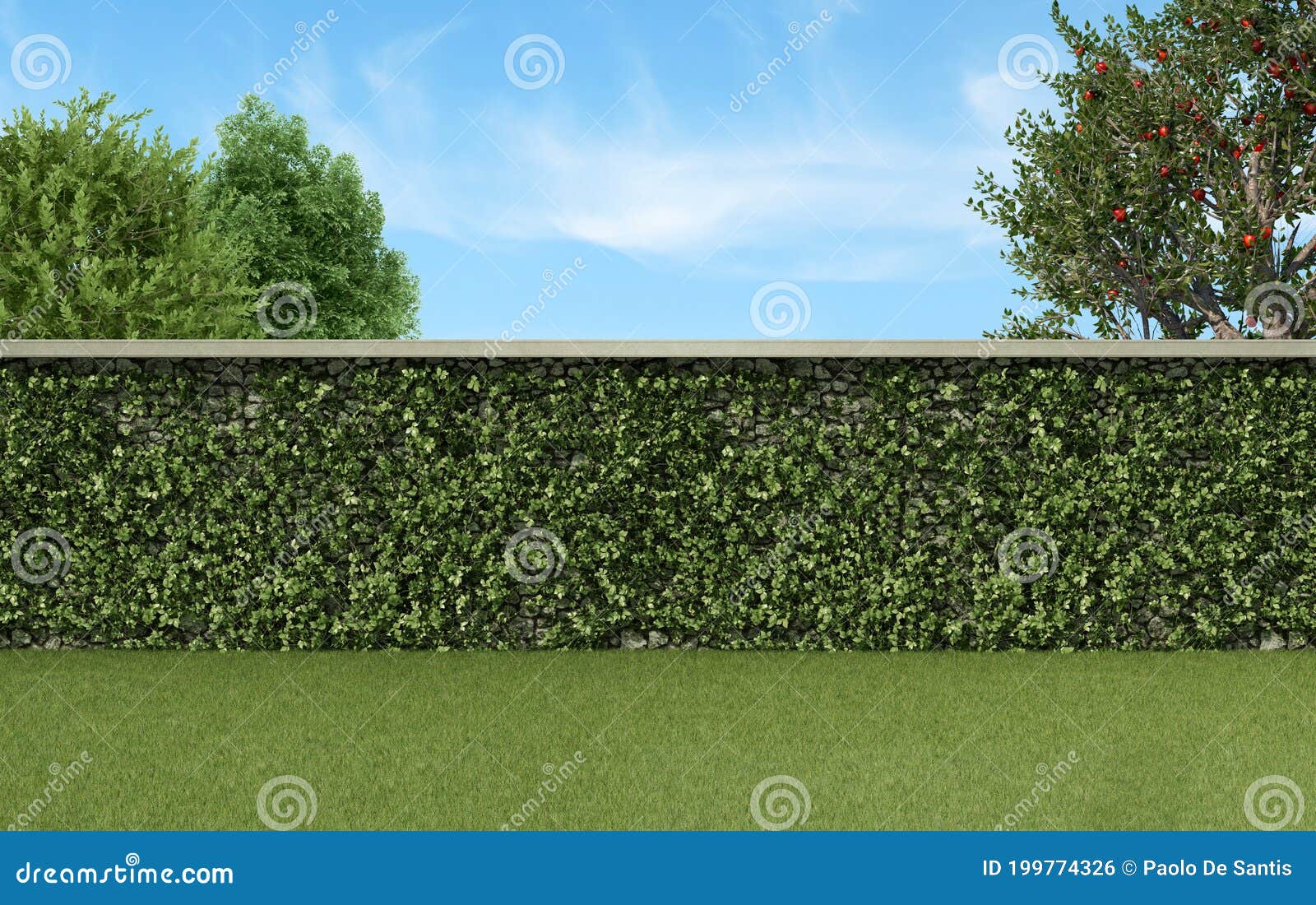 Garden with Climbing Plants on a Stone Wall Stock Illustration