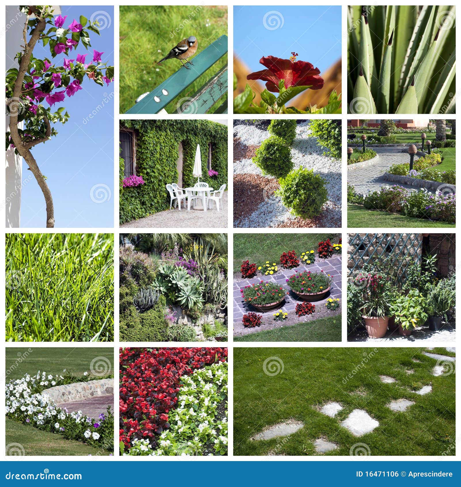 Garden collage stock photo. Image of green, floral, ornamental - 16471106