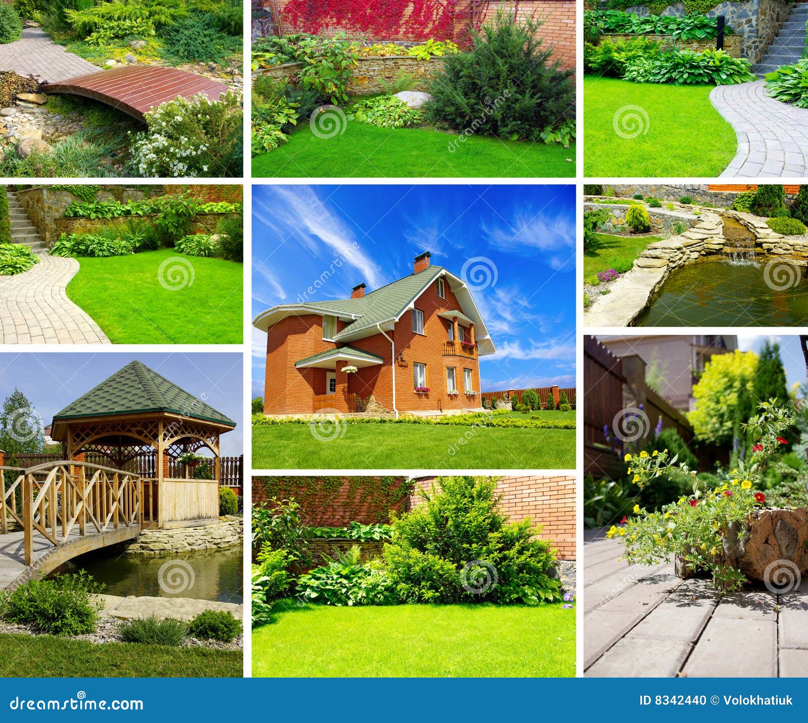 Garden collage stock photo. Image of ornamental, gardening - 8342440