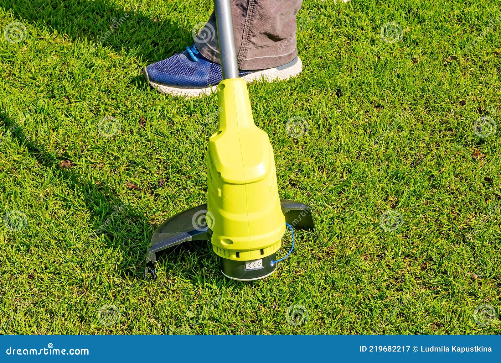 Garden Compact Electric Trimmer for Cutting Grass on the Lawn. Stock