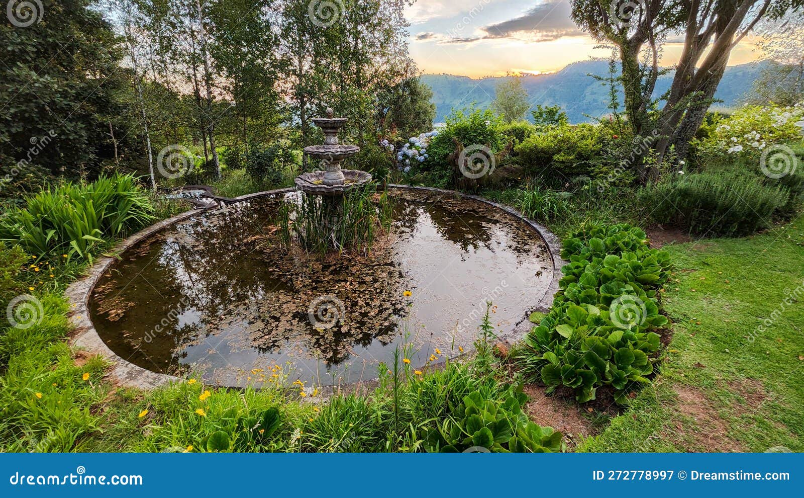 Garden on the Countryside of Hogsback, South Africa Stock Image Image
