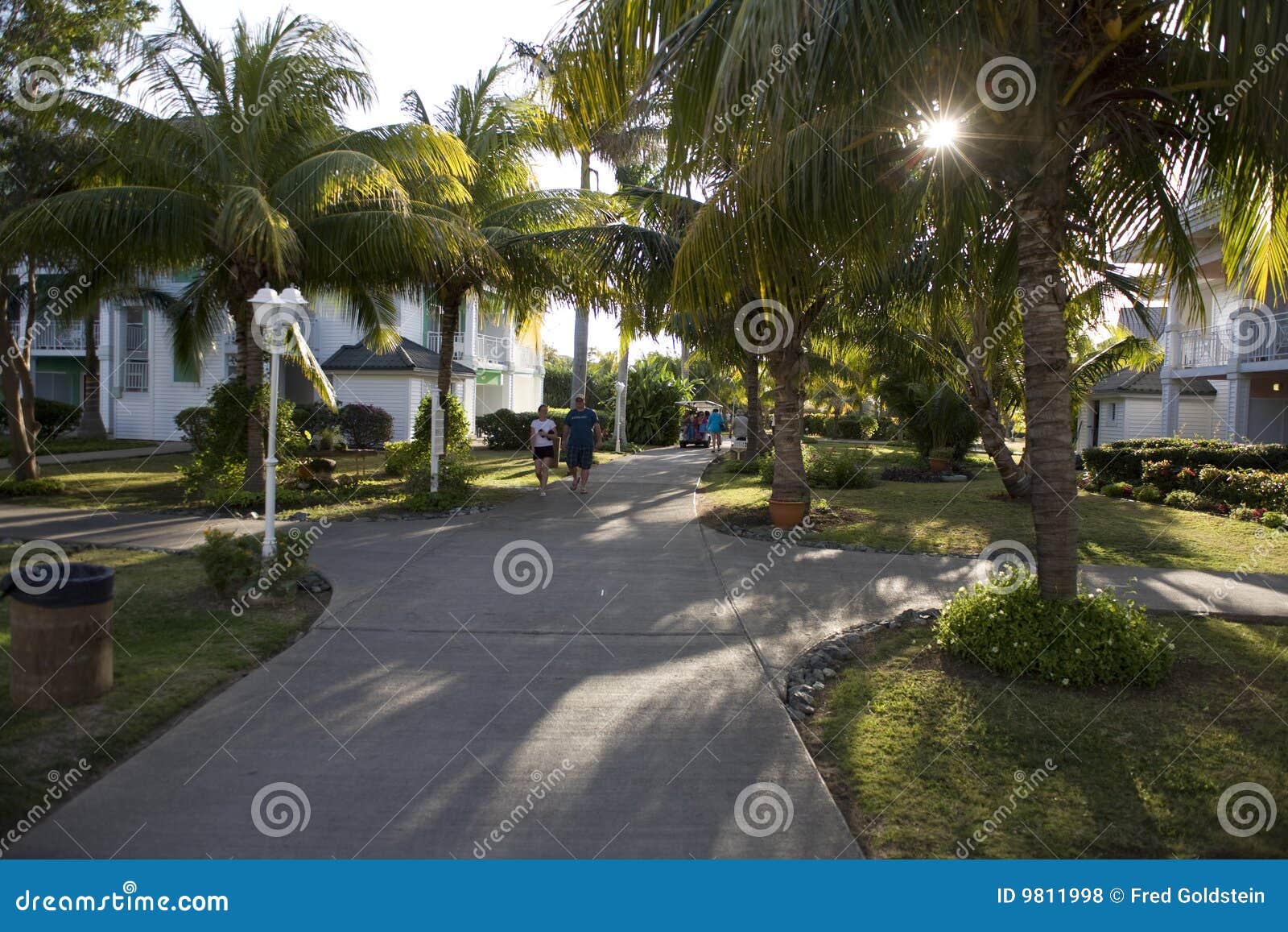 Garden in cuba stock photo. Image of sidewalk, travel 9811998