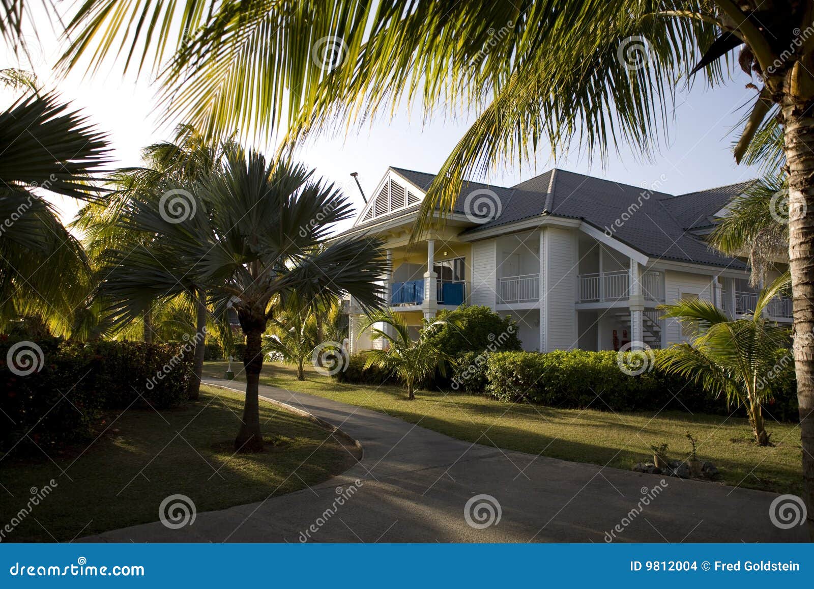 Garden in cuba stock photo. Image of holidays, cuba, travel 9812004