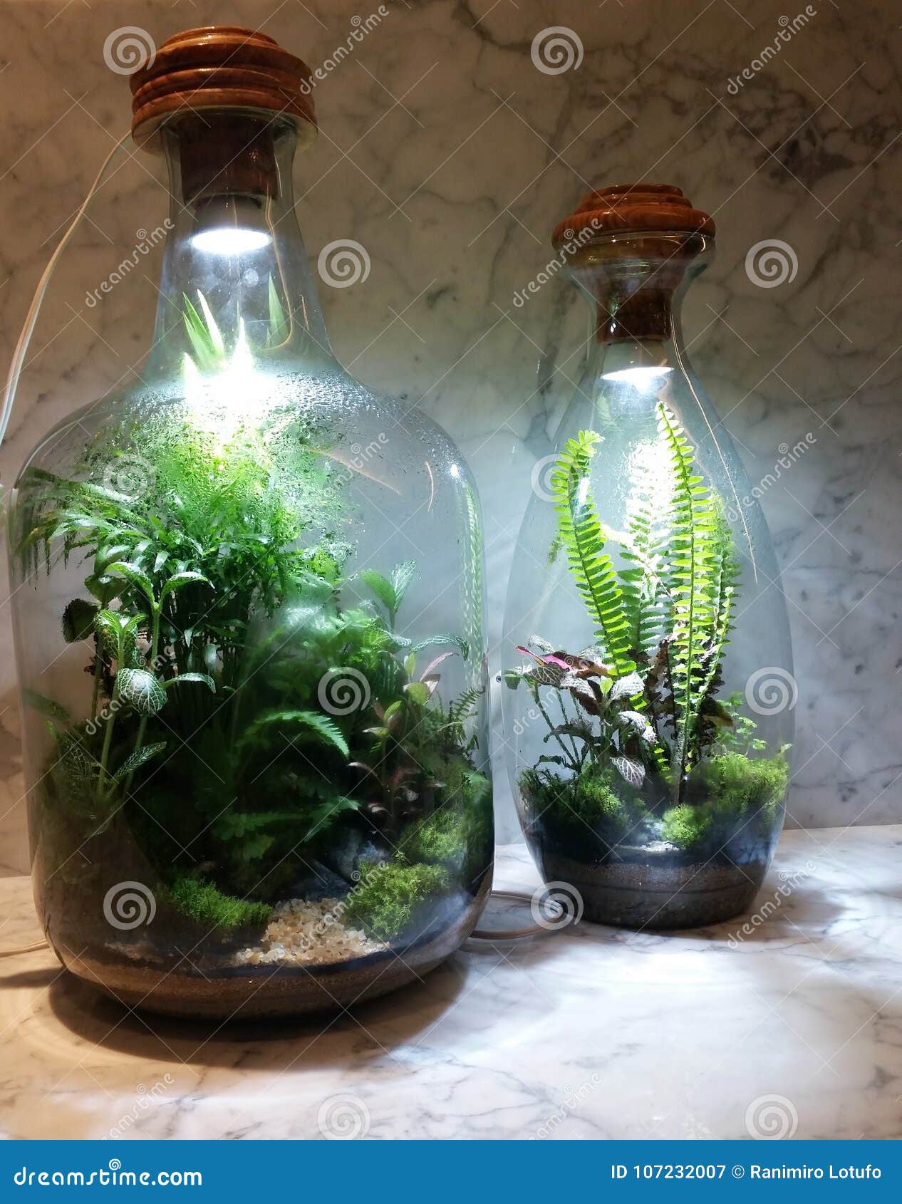 garden cultivated inside bottle
