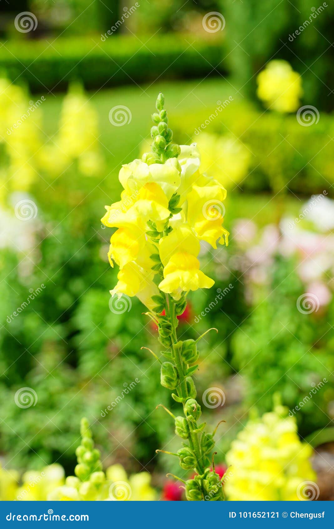 Garden of Museum in Jacksonville, Florida Stock Image - Image of ...