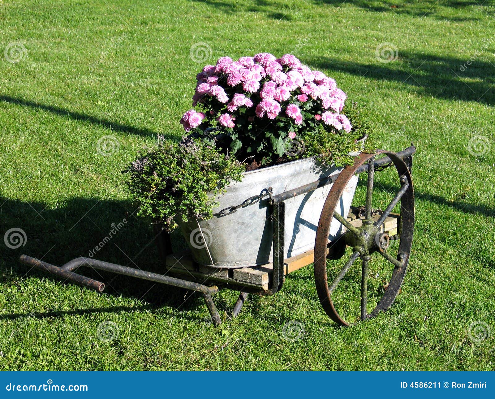 Garden decor in old wagon stock image. Image of season 4586211