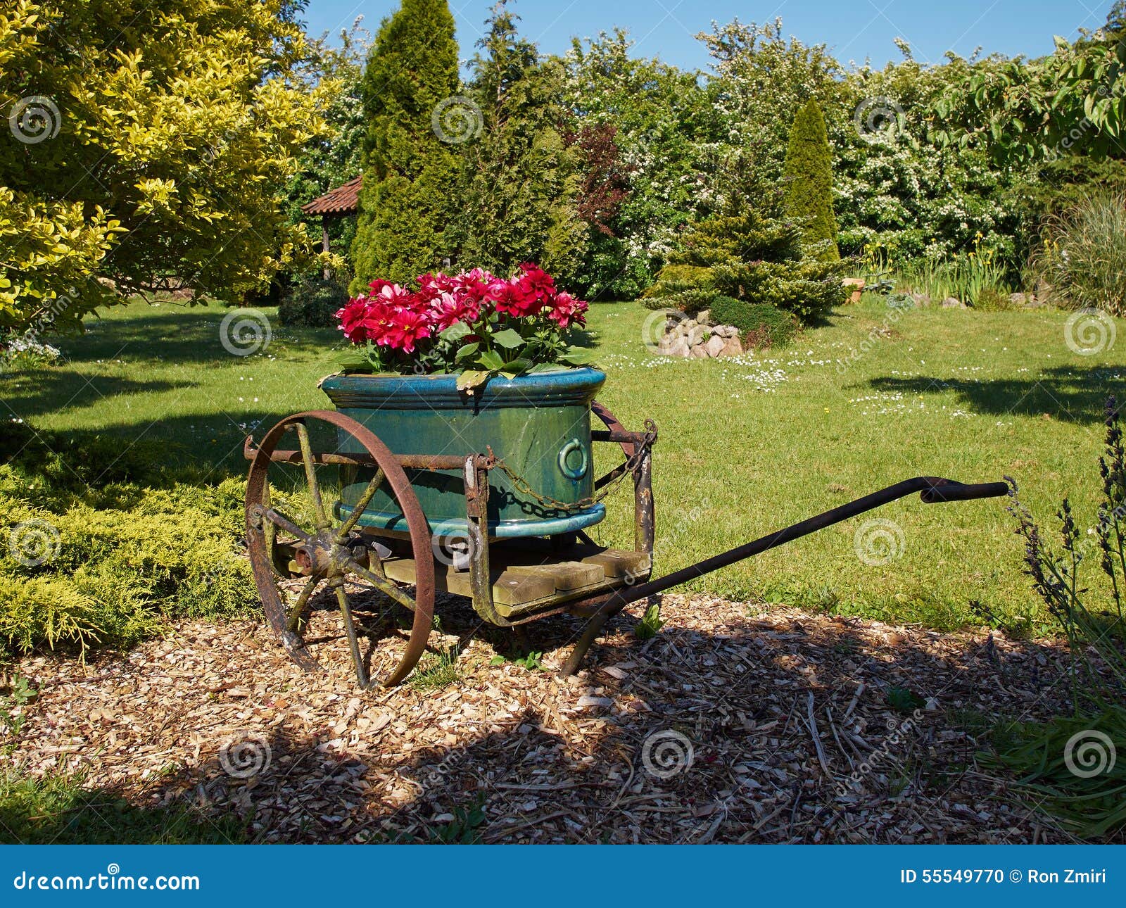 Garden decor in old wagon stock photo. Image of season 55549770
