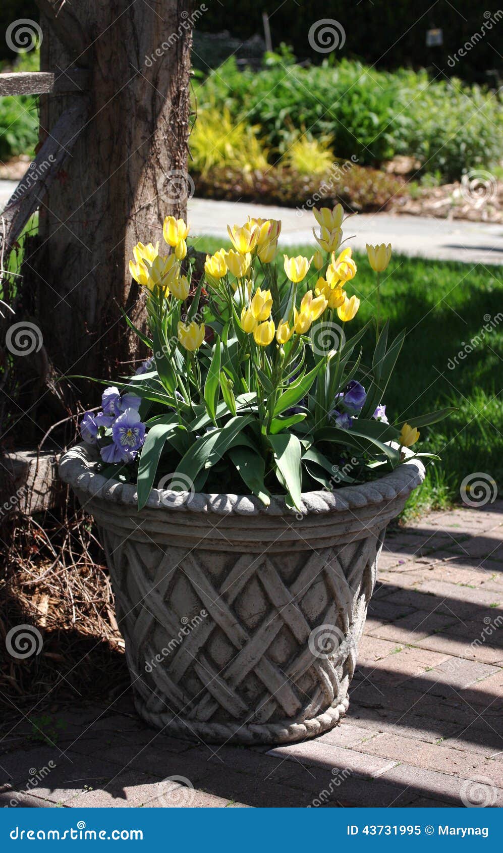 Garden decor stock image. Image of garden, park, decor 43731995