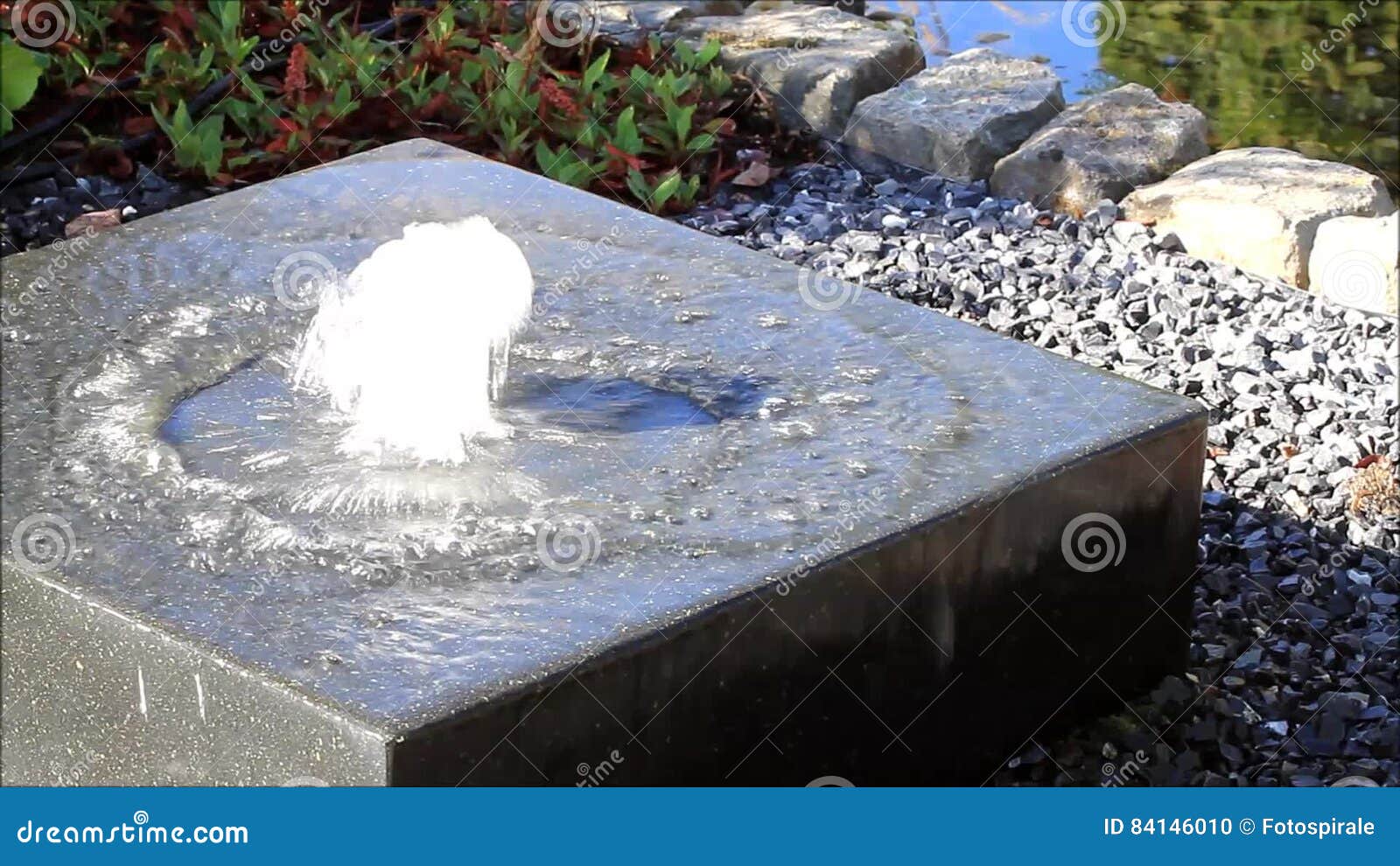 capsule Kreet Kiwi Garden Decoration Water Stone Stock Footage - Video of outdoor, peace:  84146010