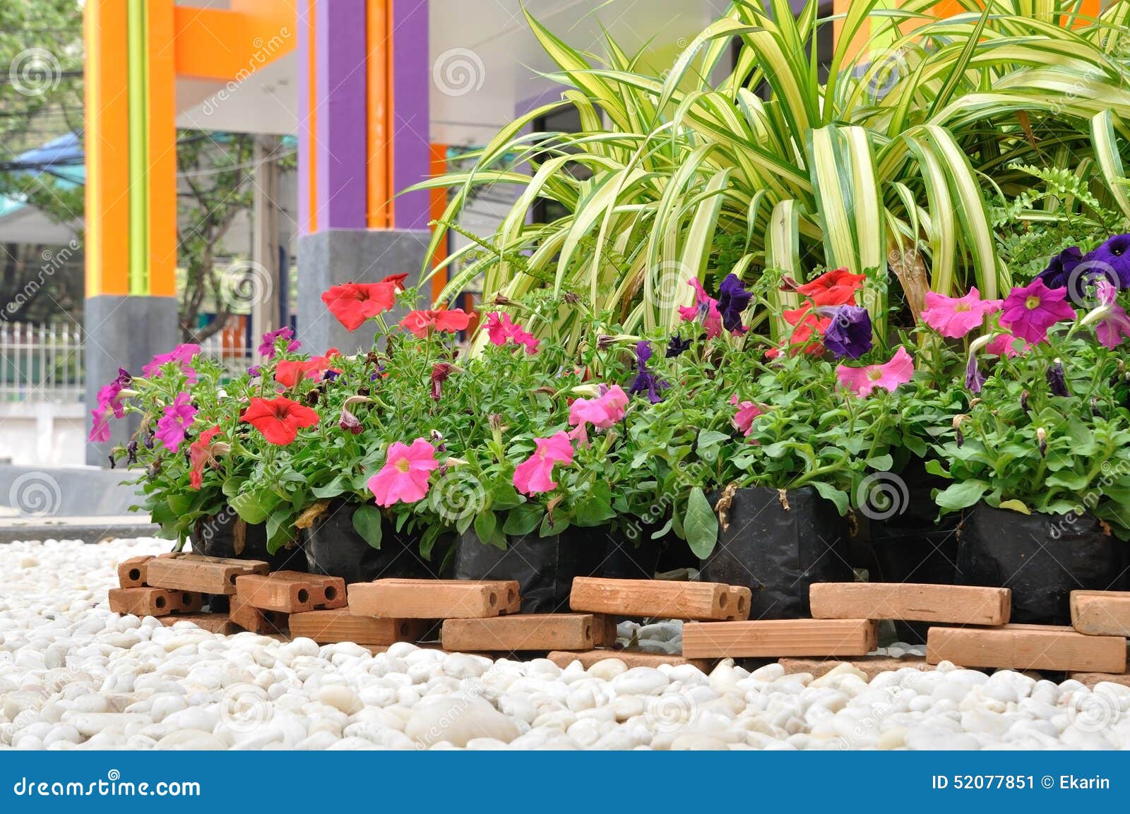 Garden Decoration with White Rock and Flowers Stock Image Image of
