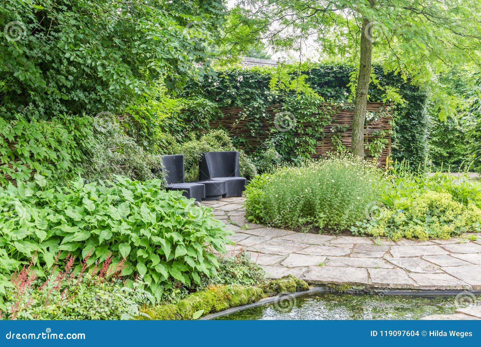 Garden Design with Water Elements Stock Photo Image of patio, nature