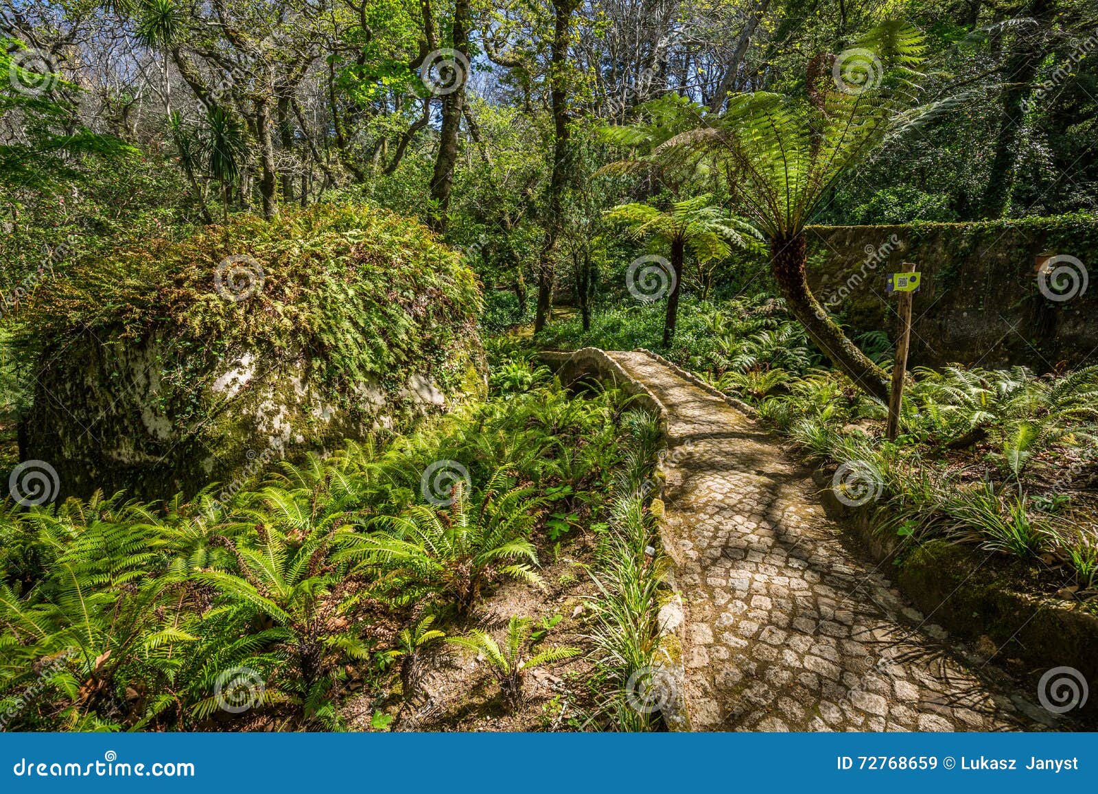 Garden Of Eden Garden Located In Sintra Portugal Stock Image
