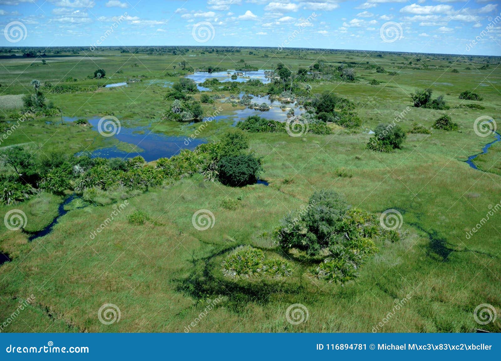 Garden Eden In The Kalahari Desert The Okavango Delta Stock Image