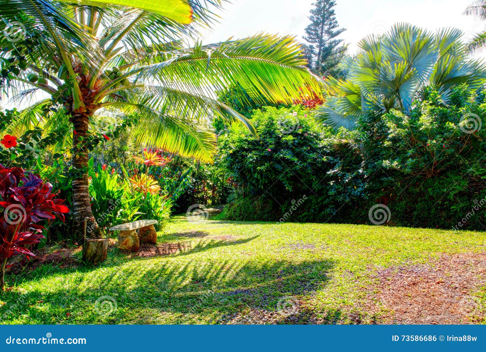 Garden Of Eden Maui Hawaii Stock Photo Image Of Hana Trees