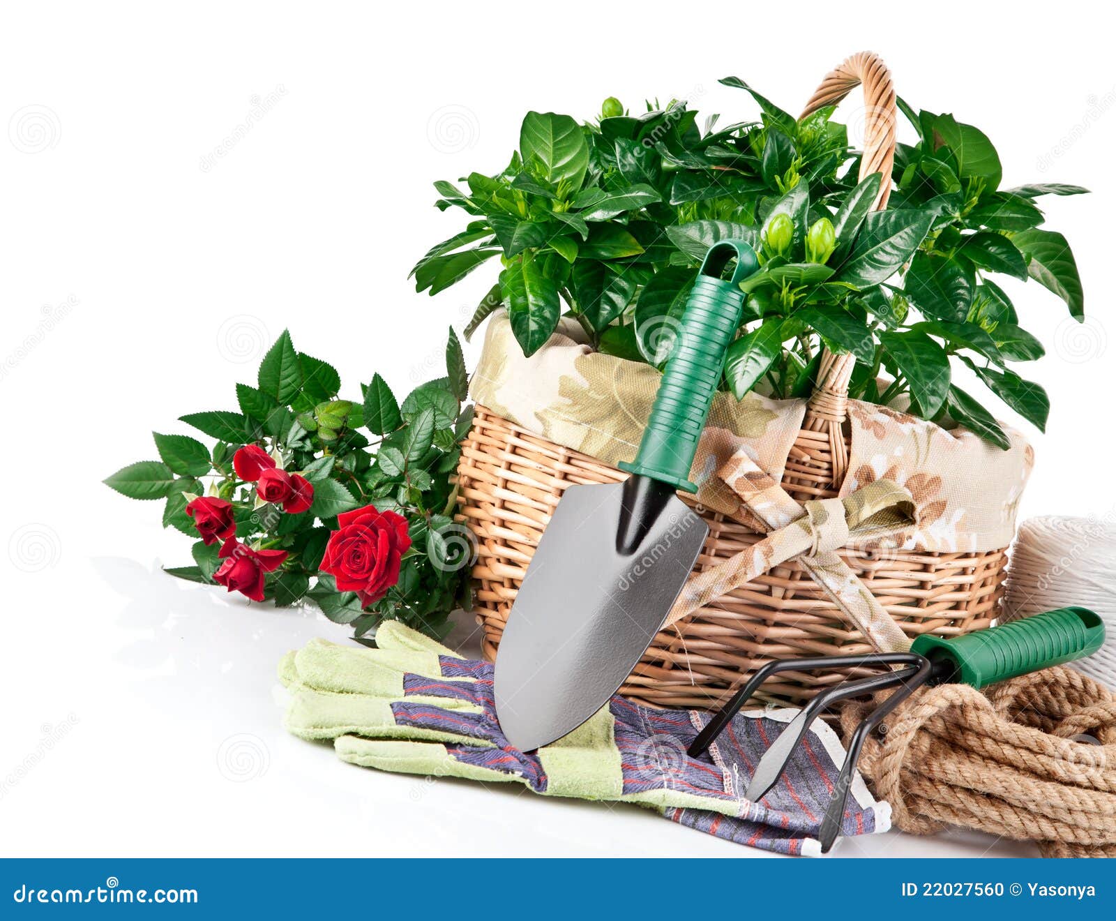 Garden Equipment with Flowers Stock Photo Image of nature, implement