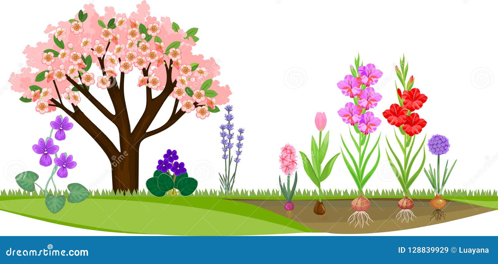 Garden With Flowering Tree And Different Blooming Plants Stock Vector ...