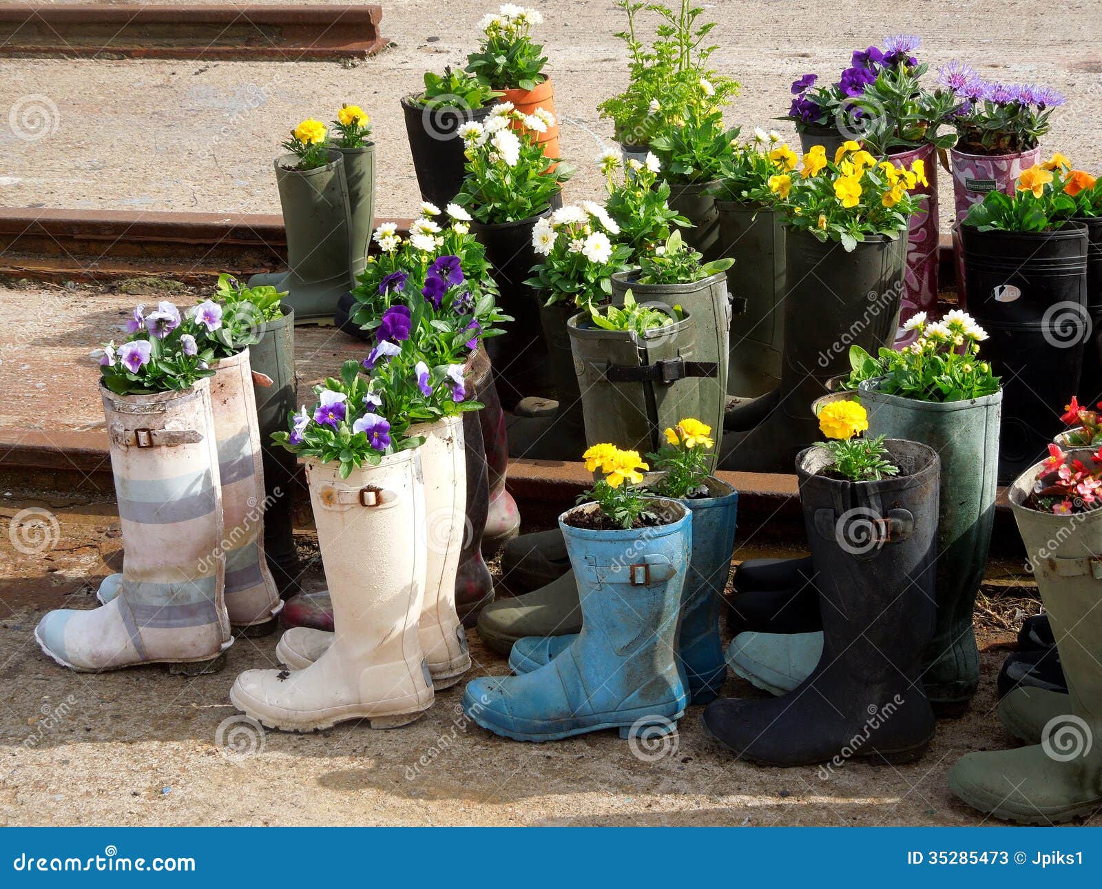 Garden Flowers In Rubber Boots Stock Image - Image: 35285473