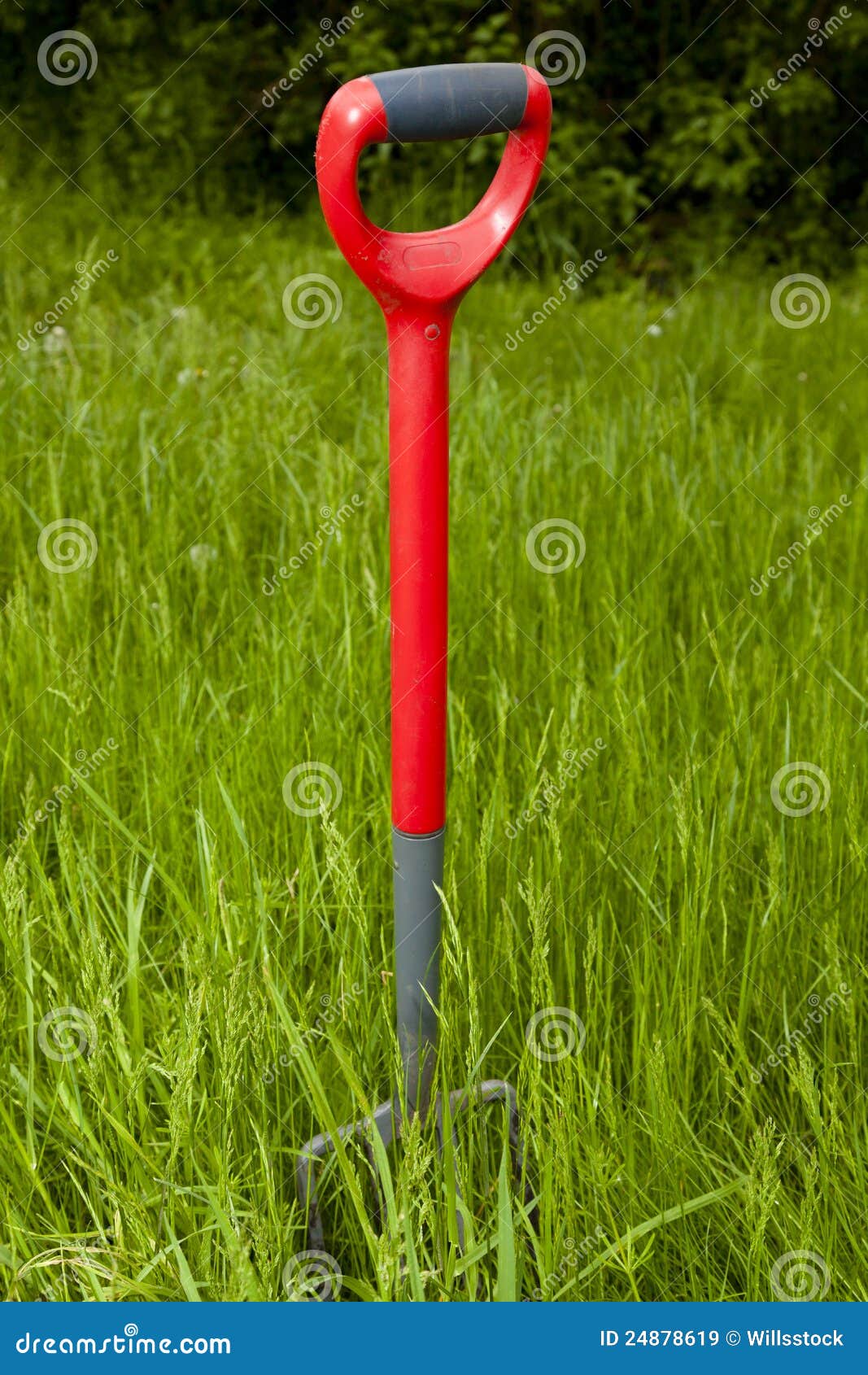 Garden Fork in an Overgrown Garden Stock Image Image of lawn, green