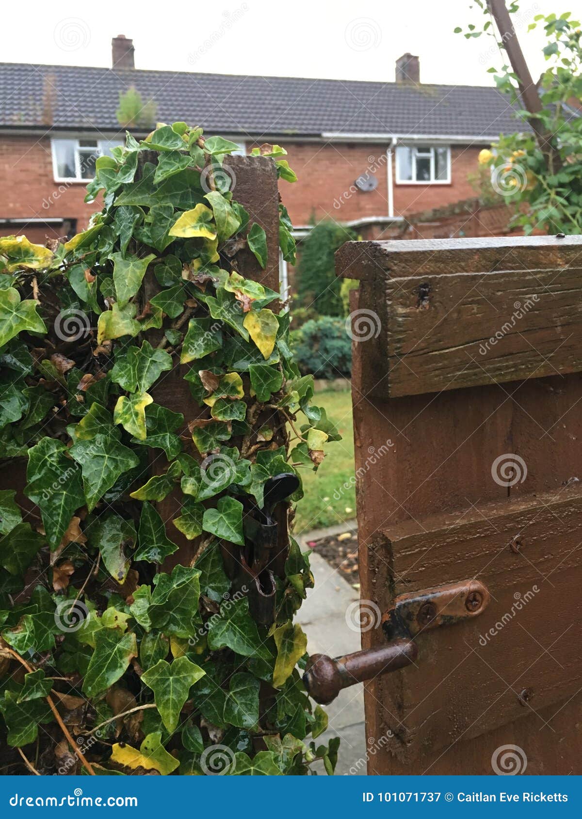Garden Gate stock image. Image of gate, backyard, padlock 101071737